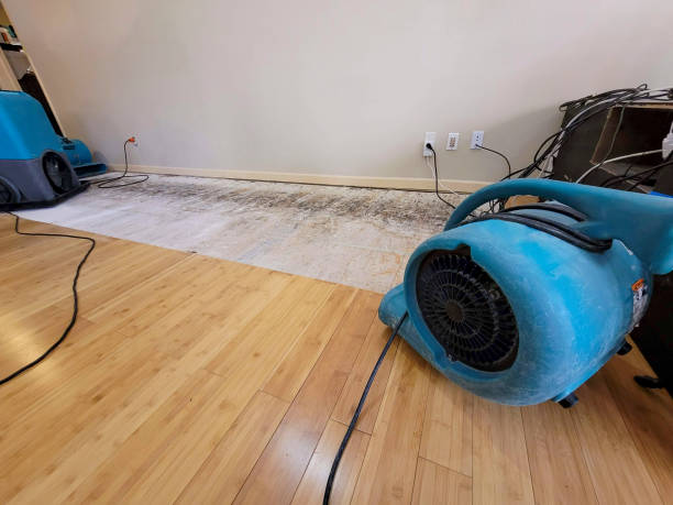 Professional Emergency Water Damage technician working in Murray City, OH